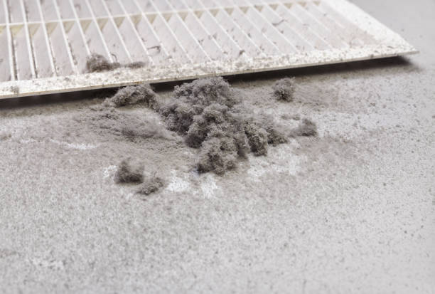 Best Best Air Duct Cleaning Company  in Rehobeth, AL
