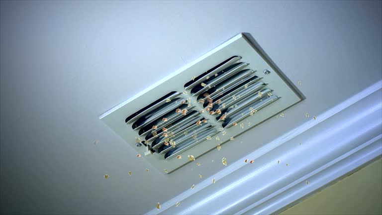 Best HVAC Air Duct Cleaning  in Rehobeth, AL