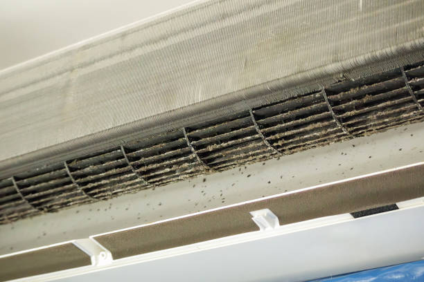 Best Affordable HVAC Duct Cleaning  in Rehobeth, AL