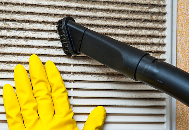 Best Home Air Vent Cleaning  in Rehobeth, AL